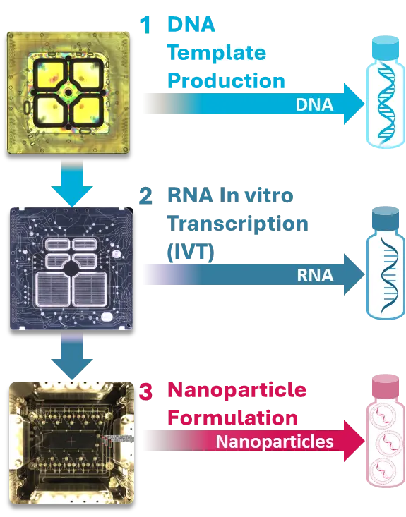 semiconductor-like biochips process